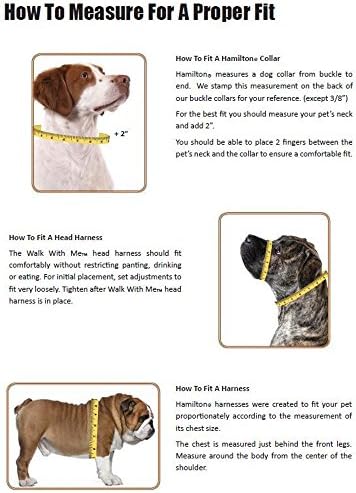 Hamilton Pixie Pet Classic Collection Modna podesiva ogrlica za pse, 3/8 inča, pewter, smeđa