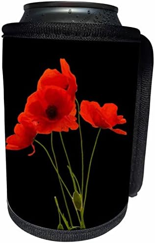 3dose osjetljivi crveni makovi cvjetni buket izoliran na crnoj boji - Can hladni omotač boca