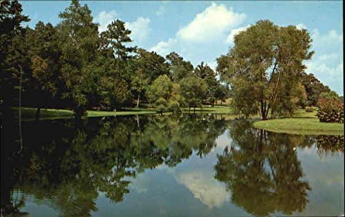 Burgess Spring Lake, u blizini američke rute 231, 2 milje sjeverno od Blountsvillea u Alabami, originalna Vintage razglednica